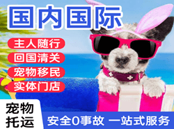 无锡硕放航空运输国际宠物托运 【国